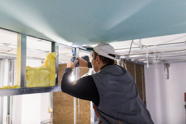Best Blown-in Insulation in Ripley, MS