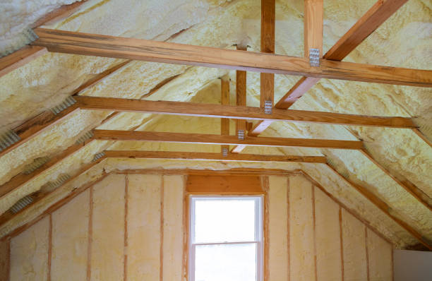Best Insulation Maintenance and Repair in Ripley, MS