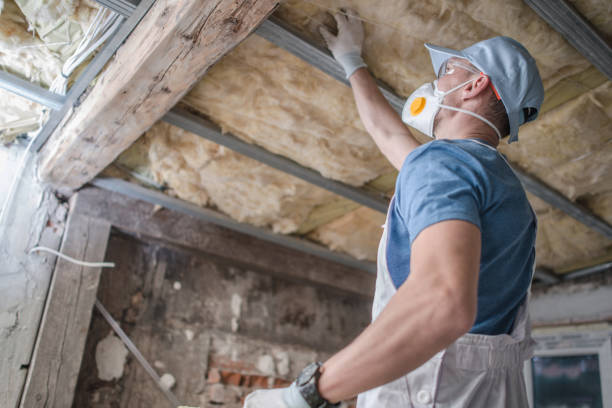 Best Specialized Insulation Services in Ripley, MS
