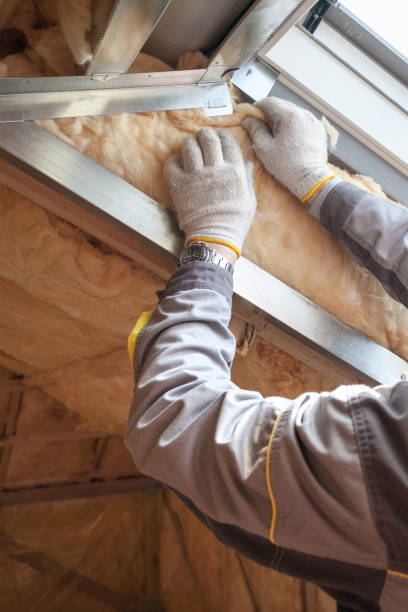 Best Geographic-Specific Insulation Services in Ripley, MS