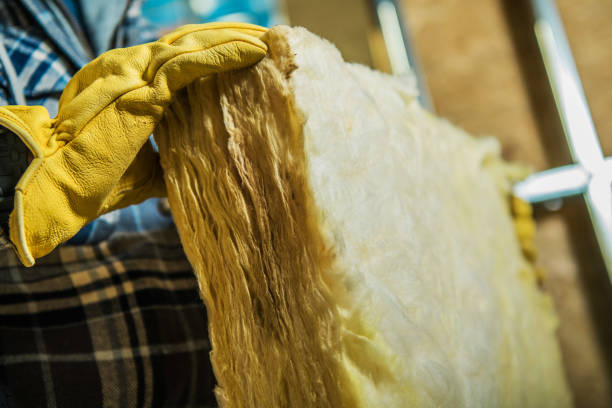 Best Commercial Insulation in Ripley, MS