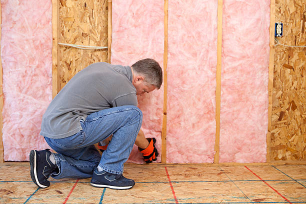 Best Specialized Insulation Services in Ripley, MS
