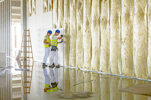 Professional Insulation Contractor in Ripley, MS